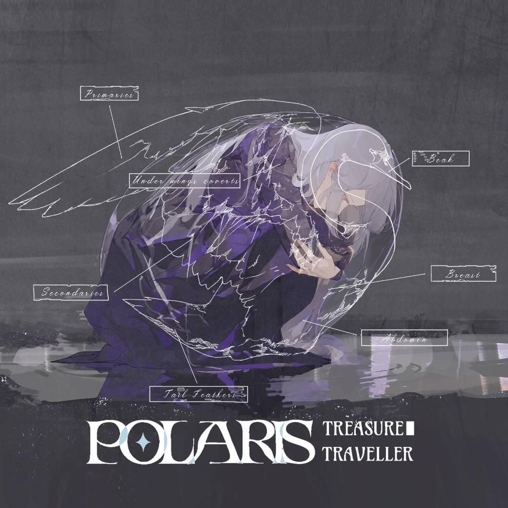 秘宝旅人 Polaris II 封面